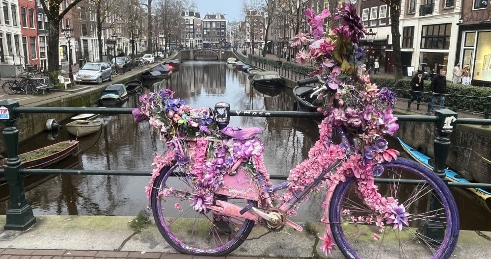 Blumen Fahrrad Amsterdam